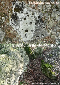 les dolmens de Montcuq existent