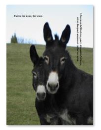 J aime les anes les vrais